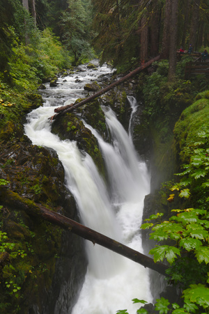 olympic sol duc